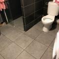 Carrelage Salle d'eau...